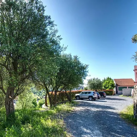 Zafferano