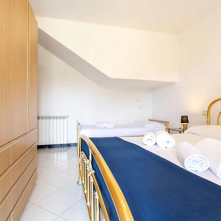 Zafferano 塞勒里古