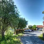 Zafferano