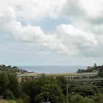 Zafferano *