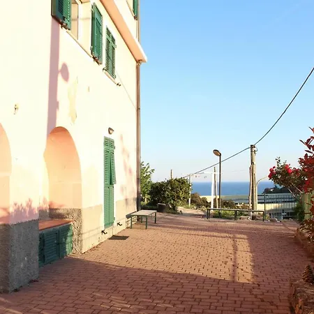 Zafferano *