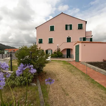 Zafferano Celle Ligure