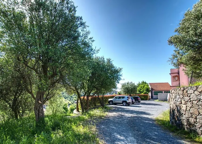 Zafferano